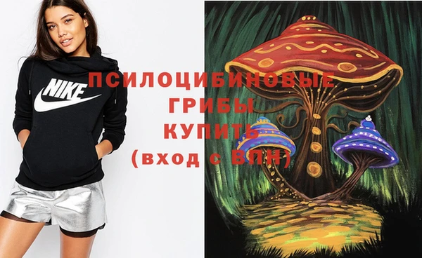 2c-b Абдулино