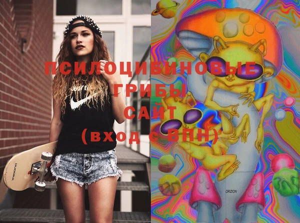 2c-b Абдулино
